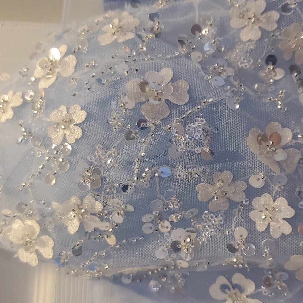 Custome Blue tulle dress, Never Worn - Picture 3 of 10